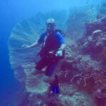"diving"