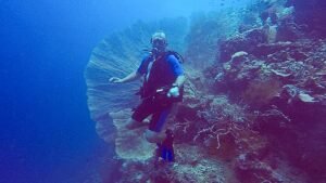 "diving"