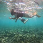"menjangan snorkeling trip"