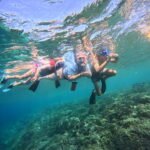"snorkeling in menjangan"