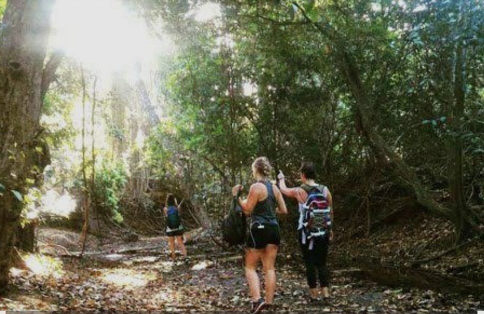 "West bali forest trekking"