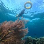 "guest snorkeling in menjangan"